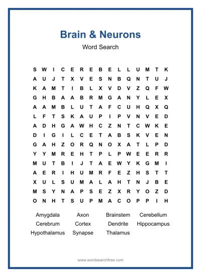 Printable Brain & Neurons Word Search worksheet
