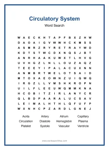 Circulatory System Word Search - Free printable puzzle with 12 words