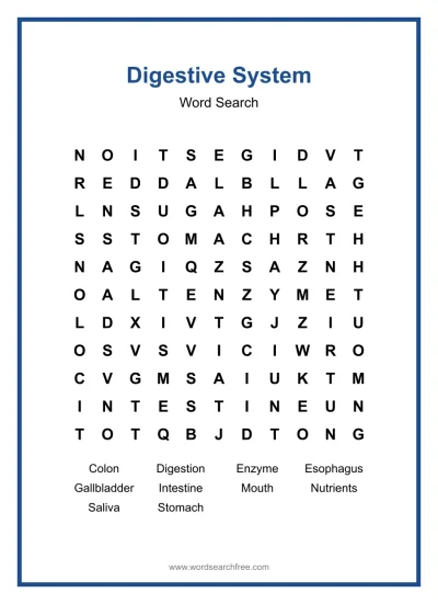 Printable Digestive System Word Search worksheet