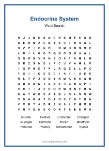 Endocrine System Word Search - Free printable puzzle with 12 words
