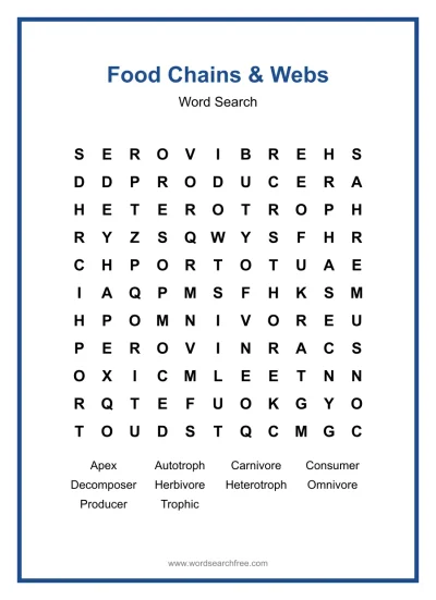 Printable Food Chains & Webs Word Search worksheet