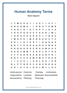 Human Anatomy Terms Word Search - Free printable puzzle with 11 words