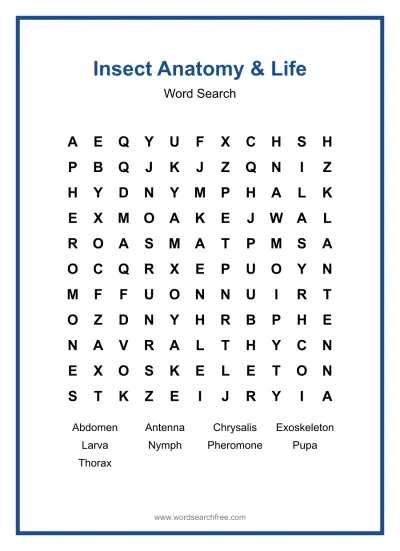 Printable Insect Anatomy & Life Word Search worksheet