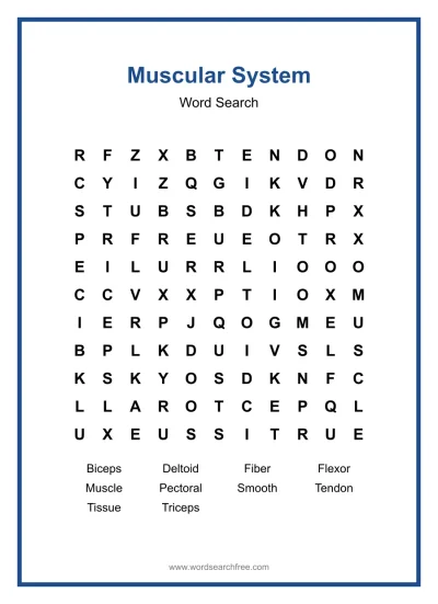 Printable Muscular System Word Search worksheet