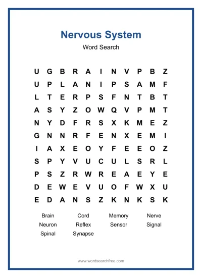 Printable Nervous System Word Search worksheet
