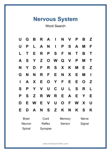 Nervous System Word Search - Free printable puzzle with 10 words