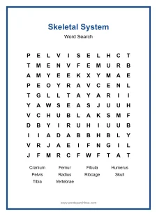 Skeletal System Word Search - Free printable puzzle with 10 words