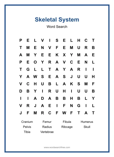 Printable Skeletal System Word Search worksheet