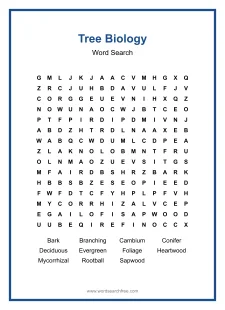 Tree Biology Word Search - Free printable puzzle with 11 words