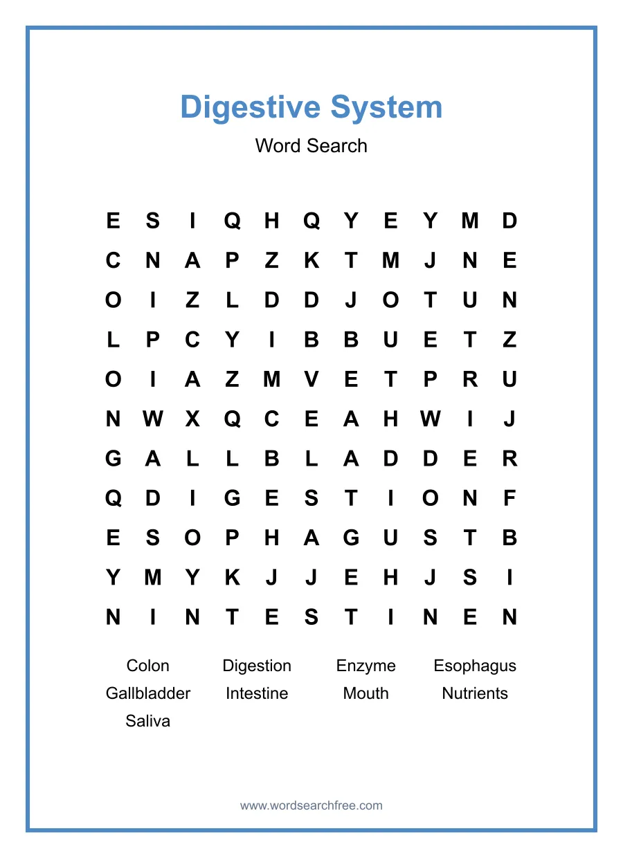 Digestive System Word Search - Free printable puzzle with 9 words