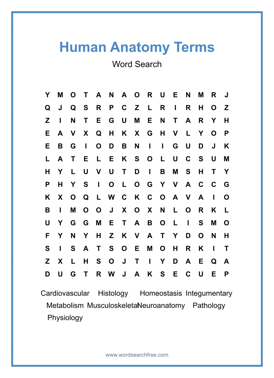 Human Anatomy Terms Word Search - Free printable puzzle with 9 words