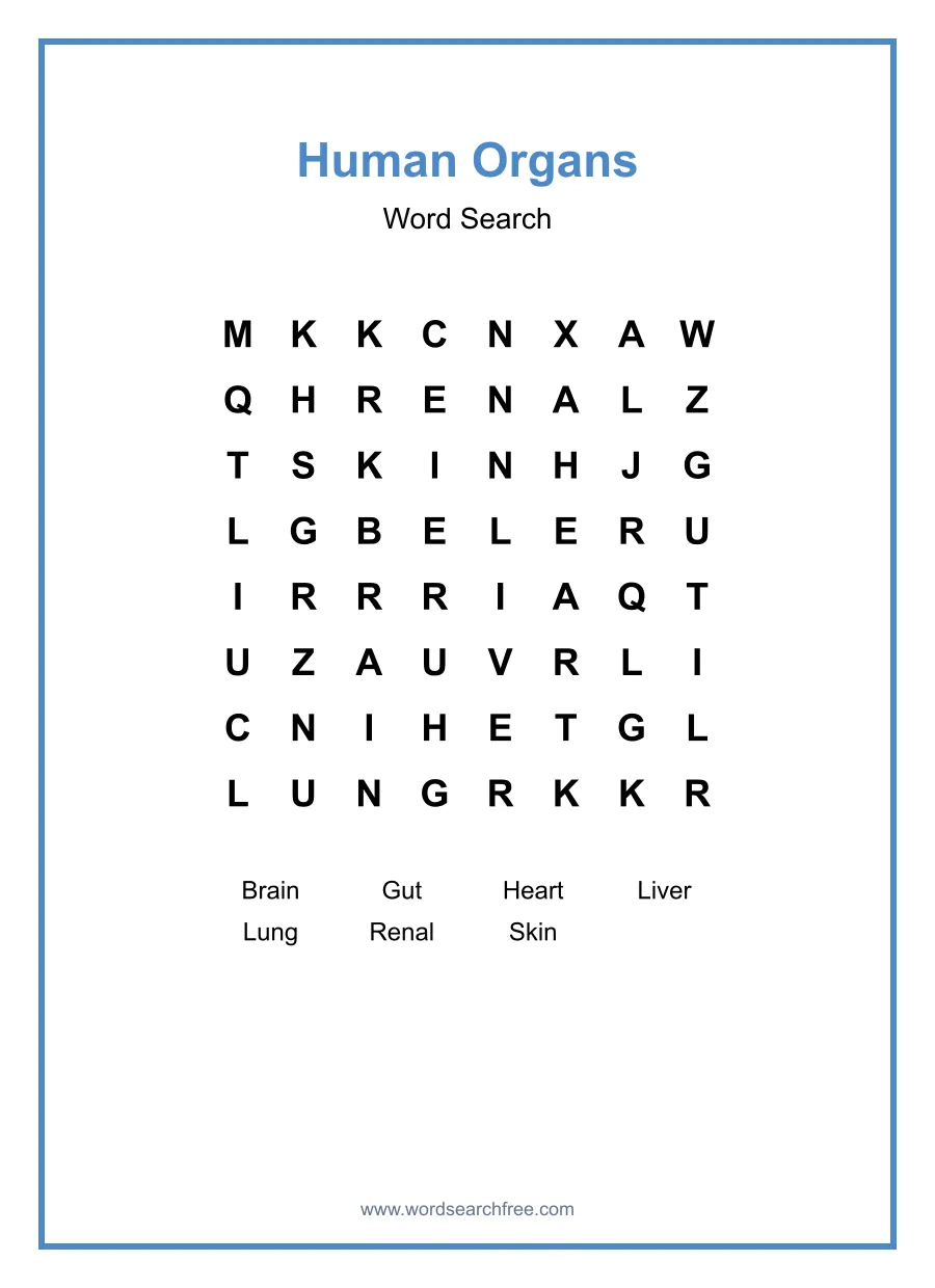 Human Organs Word Search - Free printable puzzle with 7 words