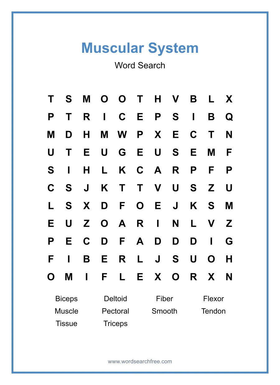 Muscular System Word Search - Free printable puzzle with 10 words
