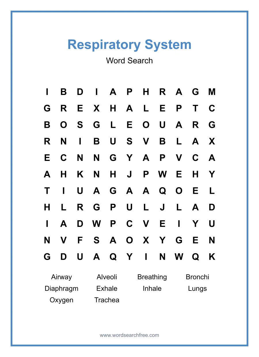 Respiratory System Word Search - Free printable puzzle with 10 words