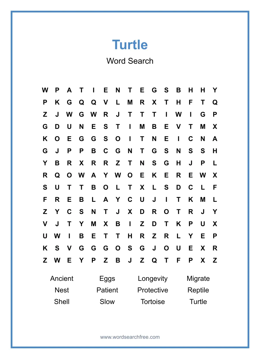 Turtle Word Search - Free printable puzzle with 12 words